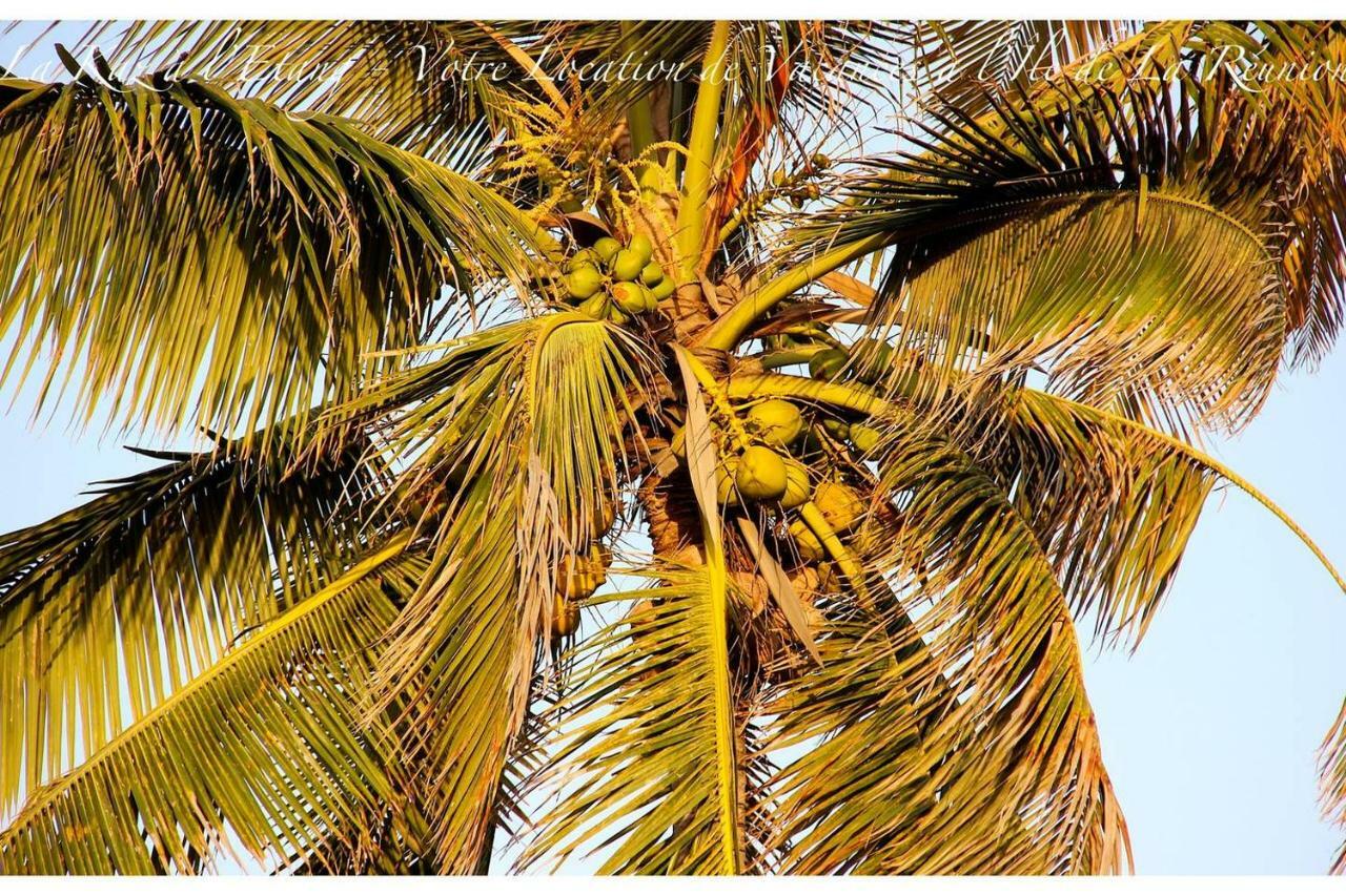 La Kaz A L'Etang - Votre Location De Vacances A L'Ile De La Reunion Saint-Louis Eksteriør bilde