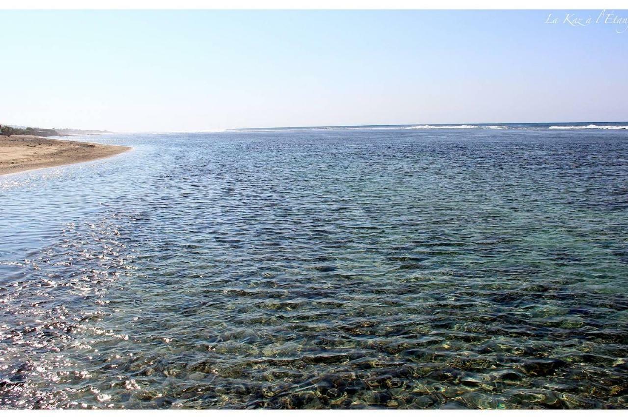 La Kaz A L'Etang - Votre Location De Vacances A L'Ile De La Reunion Saint-Louis Eksteriør bilde