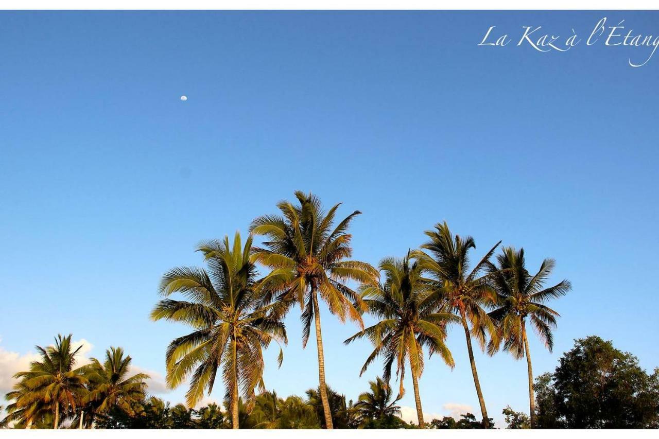 La Kaz A L'Etang - Votre Location De Vacances A L'Ile De La Reunion Saint-Louis Eksteriør bilde
